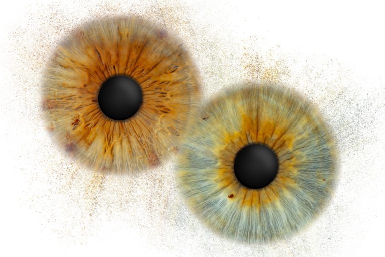 Iris Artwork – Gutschein verschenken