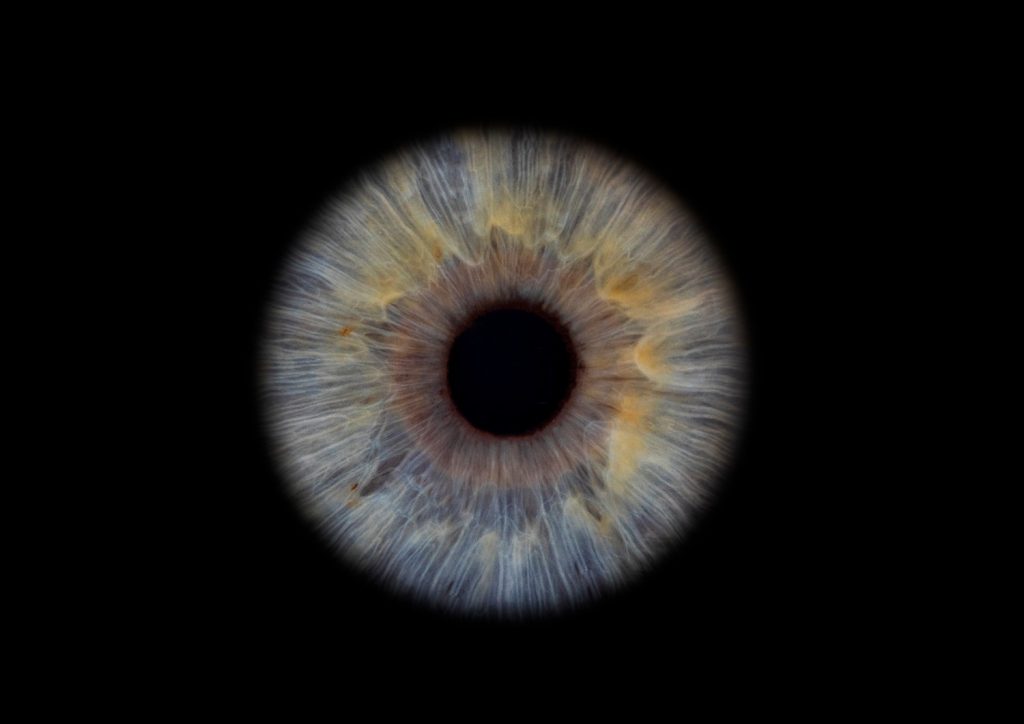Iris Artwork einer blauen Iris mit goldenem Kern auf schwarzem Hintergrund