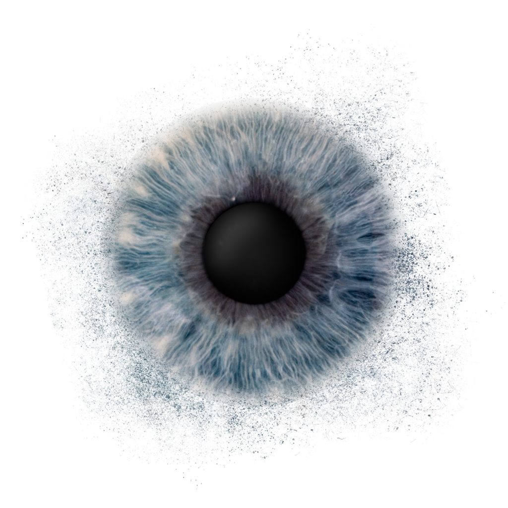 Iris Artwork einer blaugrauen Iris mit Partikel-Effekt auf weißem Hintergrund