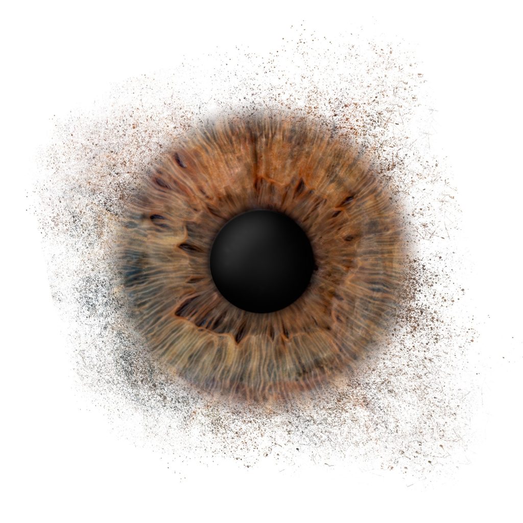 Iris Artwork einer braunen Iris mit Partikel-Effekt auf weißem Hintergrund