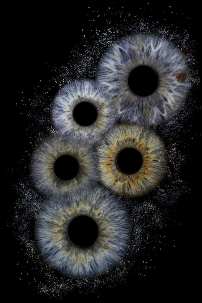 Iris Artwork Collage im Hochformat mit fünf Iriden und hellen Partikeln auf schwarzem Hintergrund – Irisfotografie in Karlsruhe