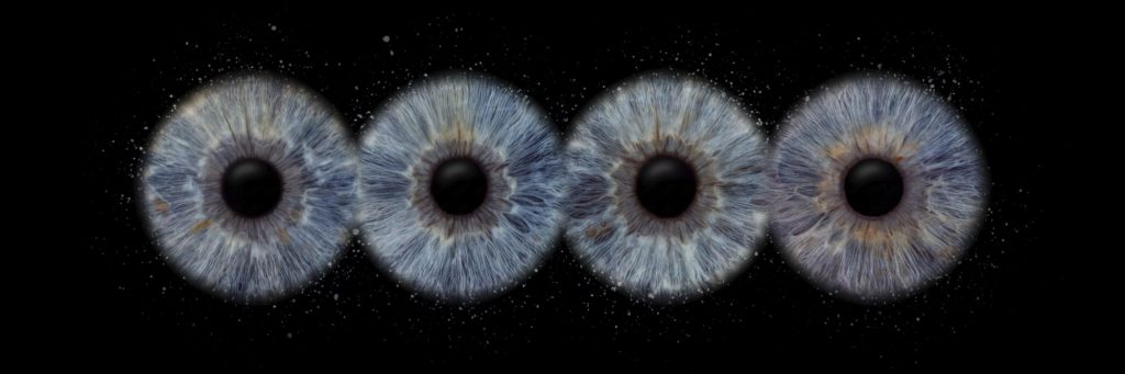 Iris Artwork Panorama: vier blaugraue Iriden in einer Reihe auf schwarzem Hintergrund – Familien-Artwork