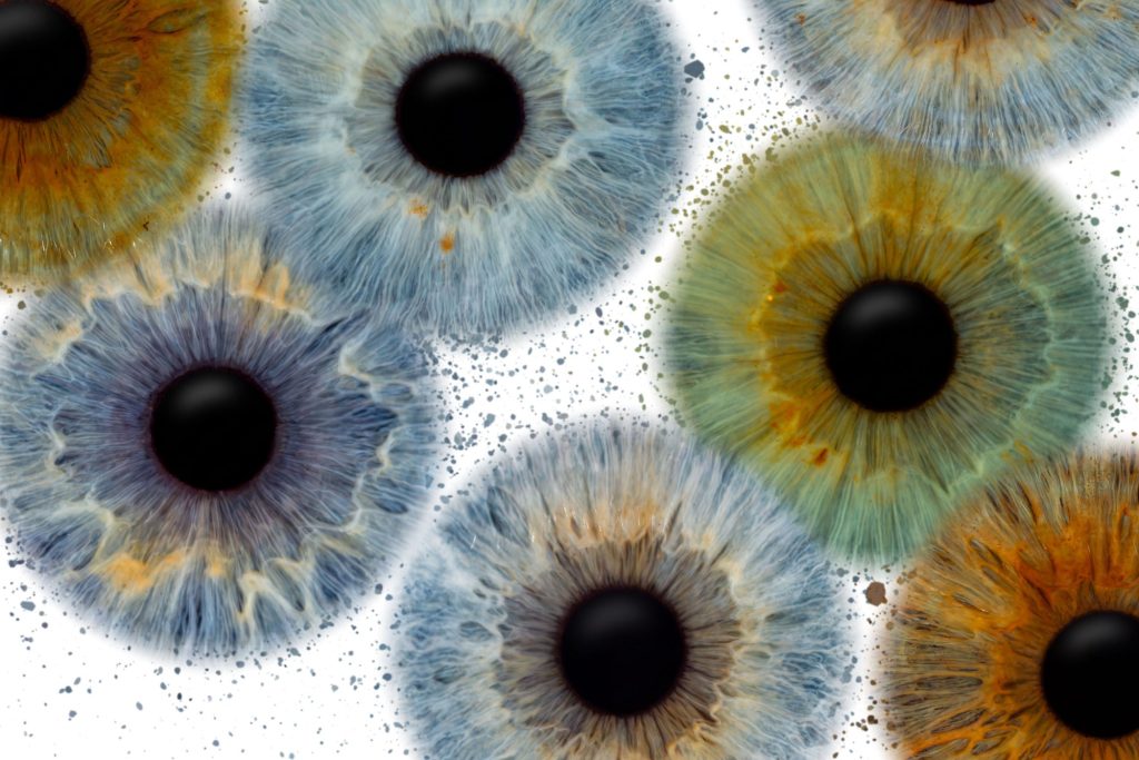 Iris Artwork Collage: viele Iriden in Blau, Grün und Braun formatfüllend auf weißem Hintergrund