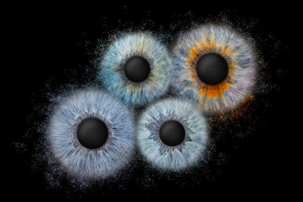 Iris Artwork Collage mit mehreren Iriden auf schwarzem Hintergrund – Fotostudio Thomas Adorff, Karlsruhe-Durlach