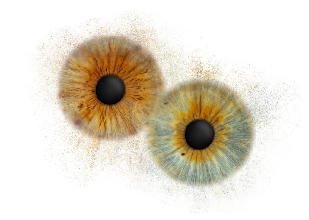 Iris Artwork Duo: bernsteinfarbene und grünbraune Iris mit Partikeln auf weißem Hintergrund – Irisfotografie in Karlsruhe