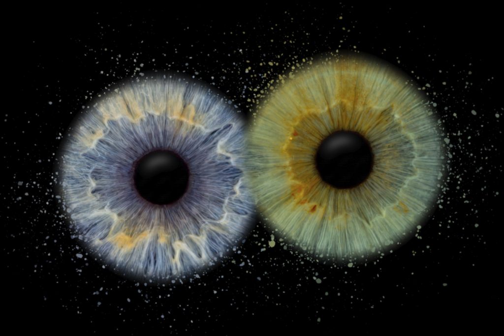 Iris Artwork Signature: zwei Iriden auf schwarzem Hintergrund – Irisfotografie in Karlsruhe