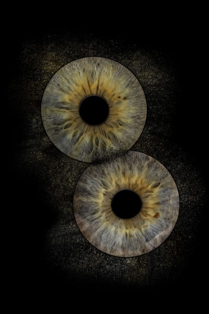 Iris Artwork Duo im Hochformat: zwei grünbraune Iriden auf dunklem Strukturhintergrund – Irisfotografie in Karlsruhe