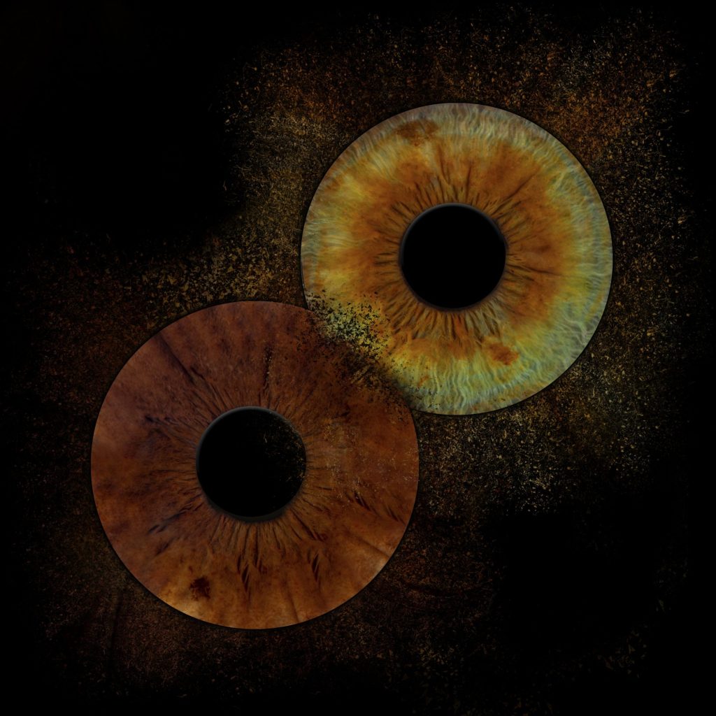 Iris Artwork Duo: rotbraune und olivgrüne Iris auf dunklem Strukturhintergrund
