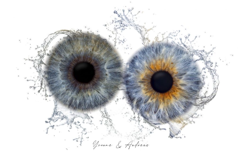 Iris Artwork Duo: zwei blaue Iriden mit Wasser-Splash auf weißem Hintergrund – Irisfotografie in Karlsruhe-Durlach