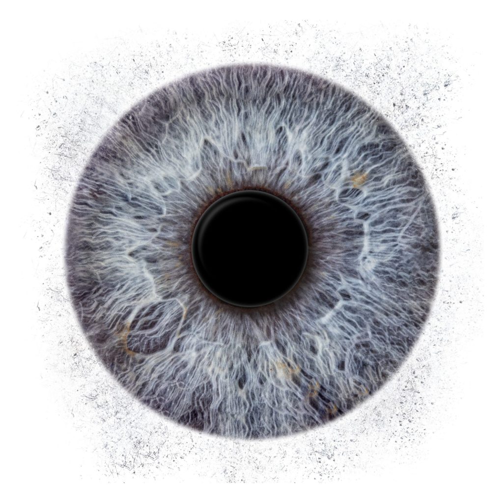 Iris Artwork einer graublauen Iris mit Partikel-Effekt auf weißem Hintergrund – Irisfotografie in Karlsruhe