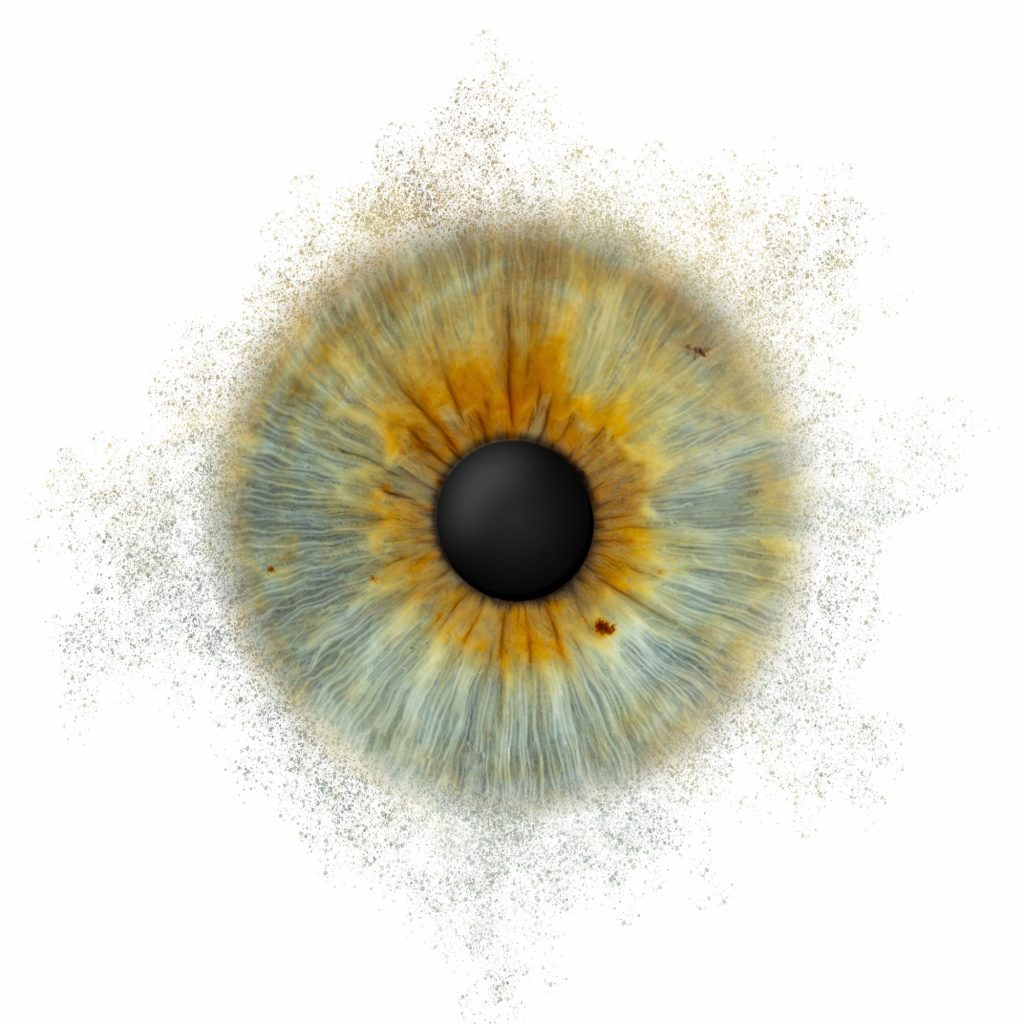 Iris Artwork einer grünbraunen Iris mit Partikel-Effekt auf weißem Hintergrund