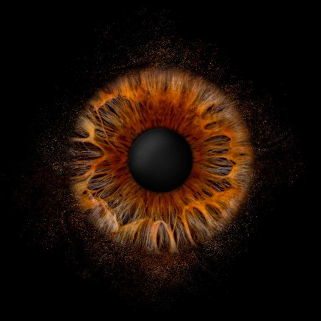 Iris Artwork einer kupferbraunen Iris auf schwarzem Hintergrund – Irisfotografie in Karlsruhe