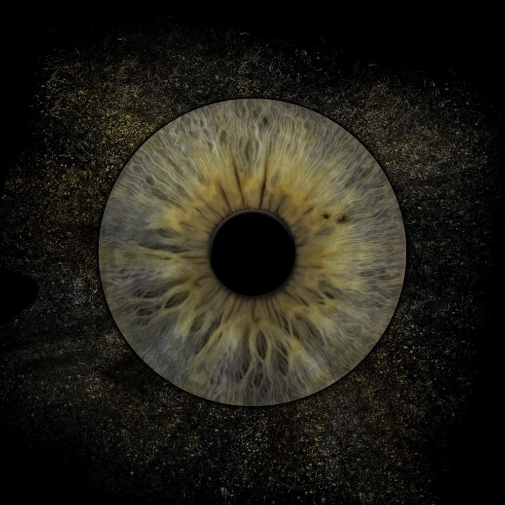 Iris Artwork einer olivgrünen Iris mit Ring auf dunklem Strukturhintergrund – Irisfotografie in Karlsruhe-Durlach