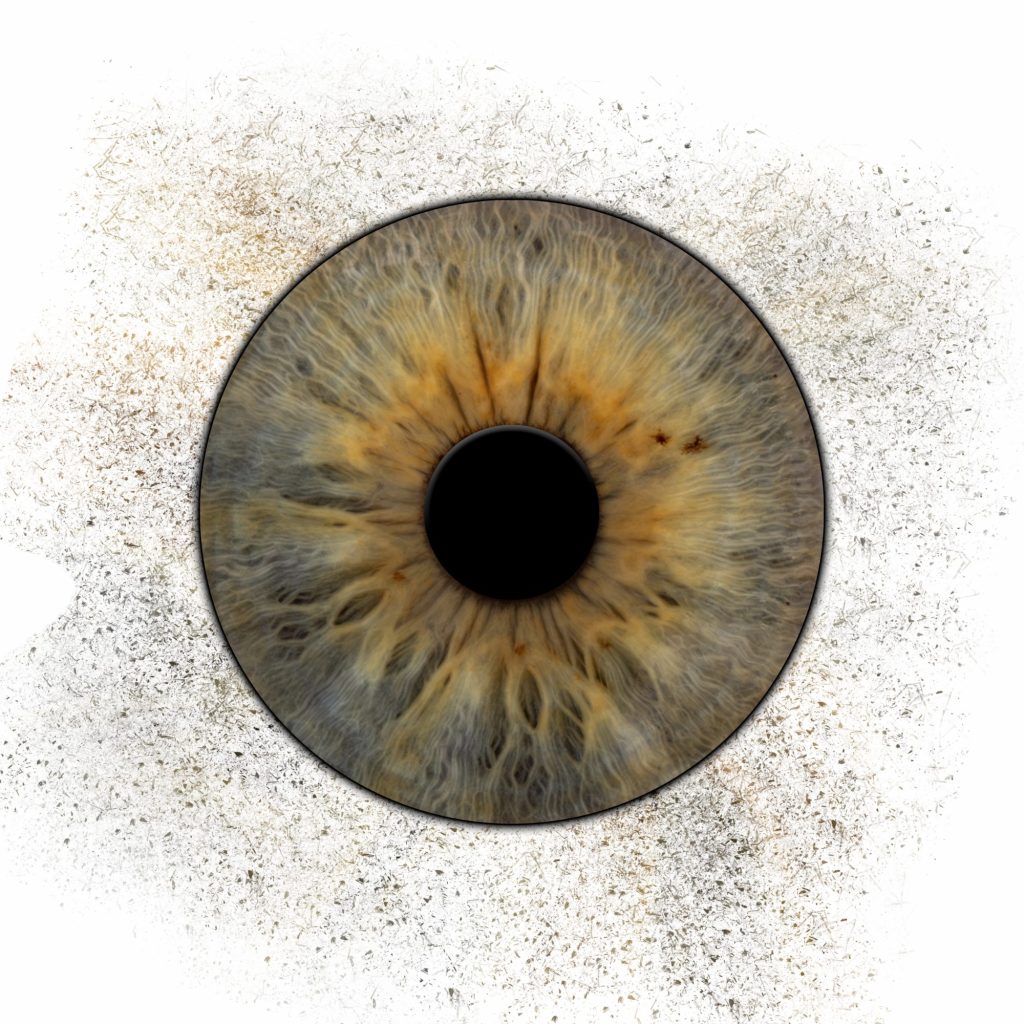 Iris Artwork einer olivgrünen Iris mit Ring und Partikeln auf weißem Hintergrund