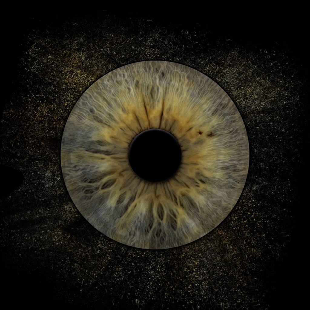 Iris Artwork einer olivgrünen Iris mit feinem Ring auf dunklem Strukturhintergrund